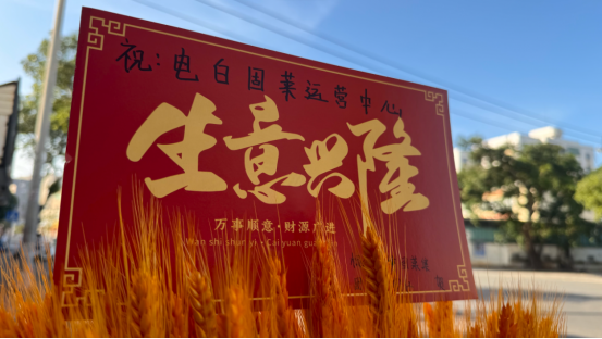 固莱S级牛商丨专访固莱茂名电白运营中心主理人-彭潇