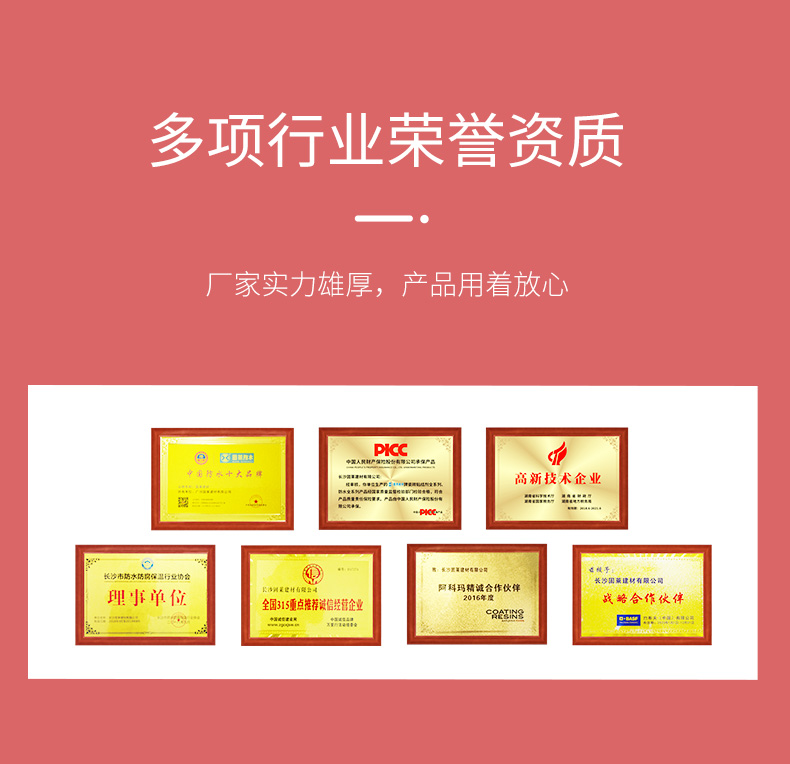 S级早强强力瓷砖胶G500